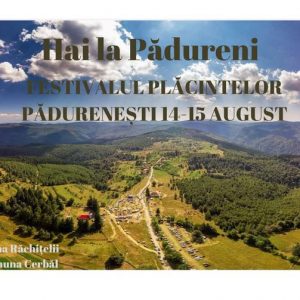 2. festival placinte
