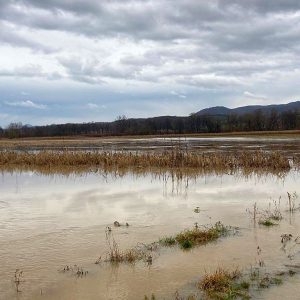 inundatii hunedoara (5)