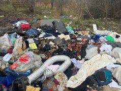 Consiliul Județean Timiș, clarificări după comunicatul Prefecturii privind gestionarea deșeurilor