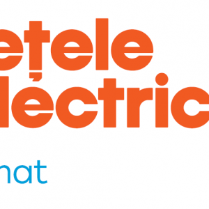 logo Retele Electrice Banat