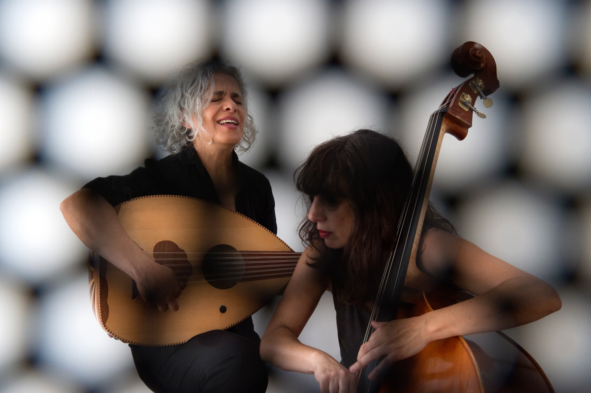 433960381_916942890436124_77910413117352