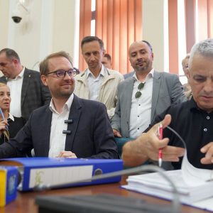 dominic fritz dosar candidatura alin nica