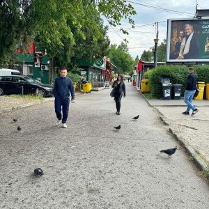 cristian mos electoral (2)