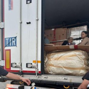 migranti paine congelata