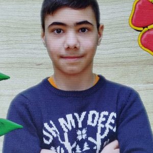 disparut picos stefan damian