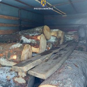 lemn de sesenta rara