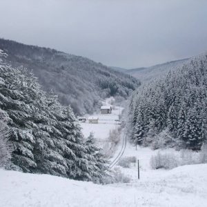 2. Moneasa iarna
