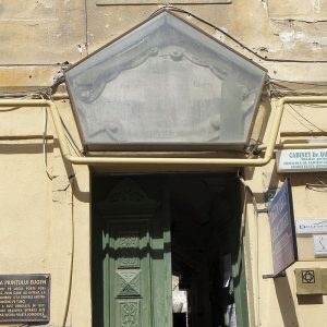 19. medalion poarta forforosa acoperit . medalion acoperit