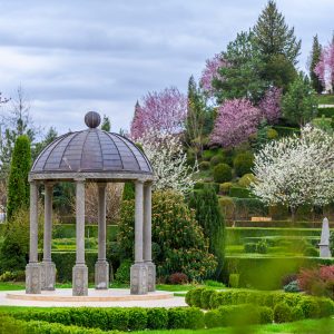 11. grădina primăvara