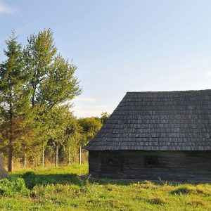 14. biserica lemn boia Bârzii