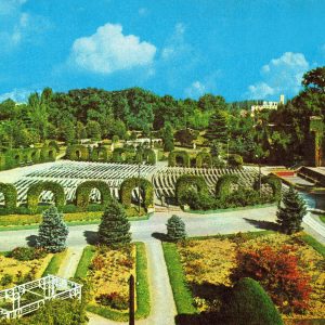 LEAD Technologies Inc. V1.01