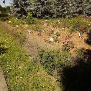 {„capture_mode”:”AutoModule”,”faces”:[]}