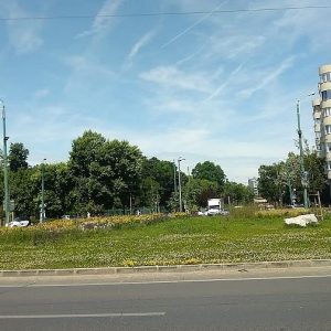 {„capture_mode”:”AutoModule”,”faces”:[]}