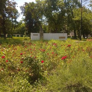 {„capture_mode”:”AutoModule”,”faces”:[]}