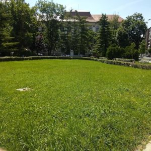 {„capture_mode”:”AutoModule”,”faces”:[]}