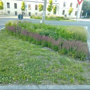 {„capture_mode”:”AutoModule”,”faces”:[]}