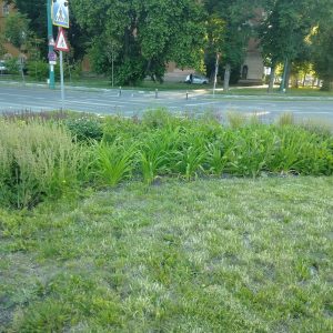 {„capture_mode”:”AutoModule”,”faces”:[]}