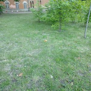 {„capture_mode”:”AutoModule”,”faces”:[]}