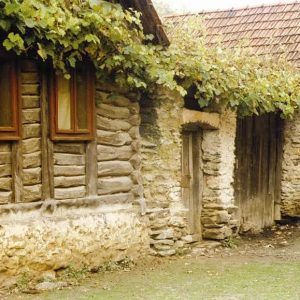 3. case tradiționale