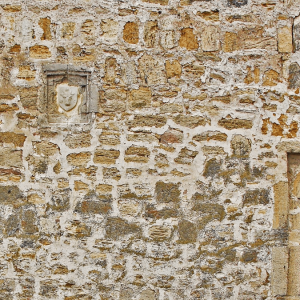 4. stema Moldovei – Cetatea Albă