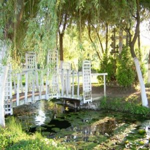 5. izvorul lui Miron