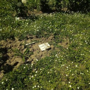 {„capture_mode”:”AutoModule”,”faces”:[]}