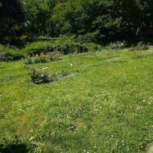 {„capture_mode”:”AutoModule”,”faces”:[]}