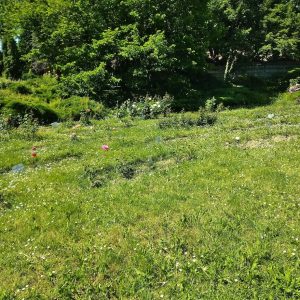 {„capture_mode”:”AutoModule”,”faces”:[]}