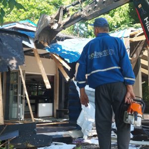 demolare VS pizza poli (8)