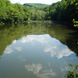 10. lacul Vârtoape