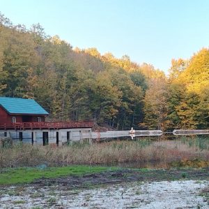 3. lac înainte de amenajare