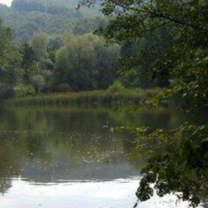 7. lac danila