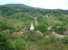 Țara Zarandului, o cronică vie: Olăritul de Hălmăgel și arta naivă din Brusturi, moștenirea unor meșteri de vocație (foto)