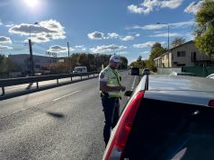 Razie pe DN 6 în mai multe județe. Peste 200 de amenzi în Timiș