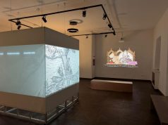 Succesul de la Londra ajunge în inima Transilvaniei: Expoziția „Chasing Light” a Facultății de Arte din Timișoara se deschide la Palatul Principilor din Alba Iulia