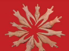 Civilizația Cucuteni poposește la Arad: Expoziție de neratat cu artefacte vechi de milenii