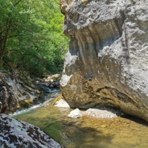 CREATOR: gd-jpeg v1.0 (using IJG JPEG v62), quality = 100