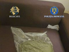 Flagrant în Timișoara: Dealer reținut după ce a încercat să vândă două kilograme de canabis pentru 30.000 de lei