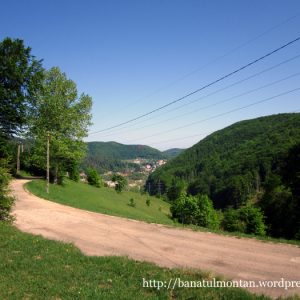 4. drum spre poiana Maial