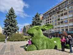 Iepurele supradimensionat din centrul Timișoarei între hidos și neadecvat