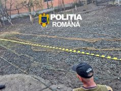 Rețea de braconieri piscicoli din Arad și Timiș, destructurată de polițiști: Cinci bărbați au fost reținuți după percheziții de amploare (foto și video)